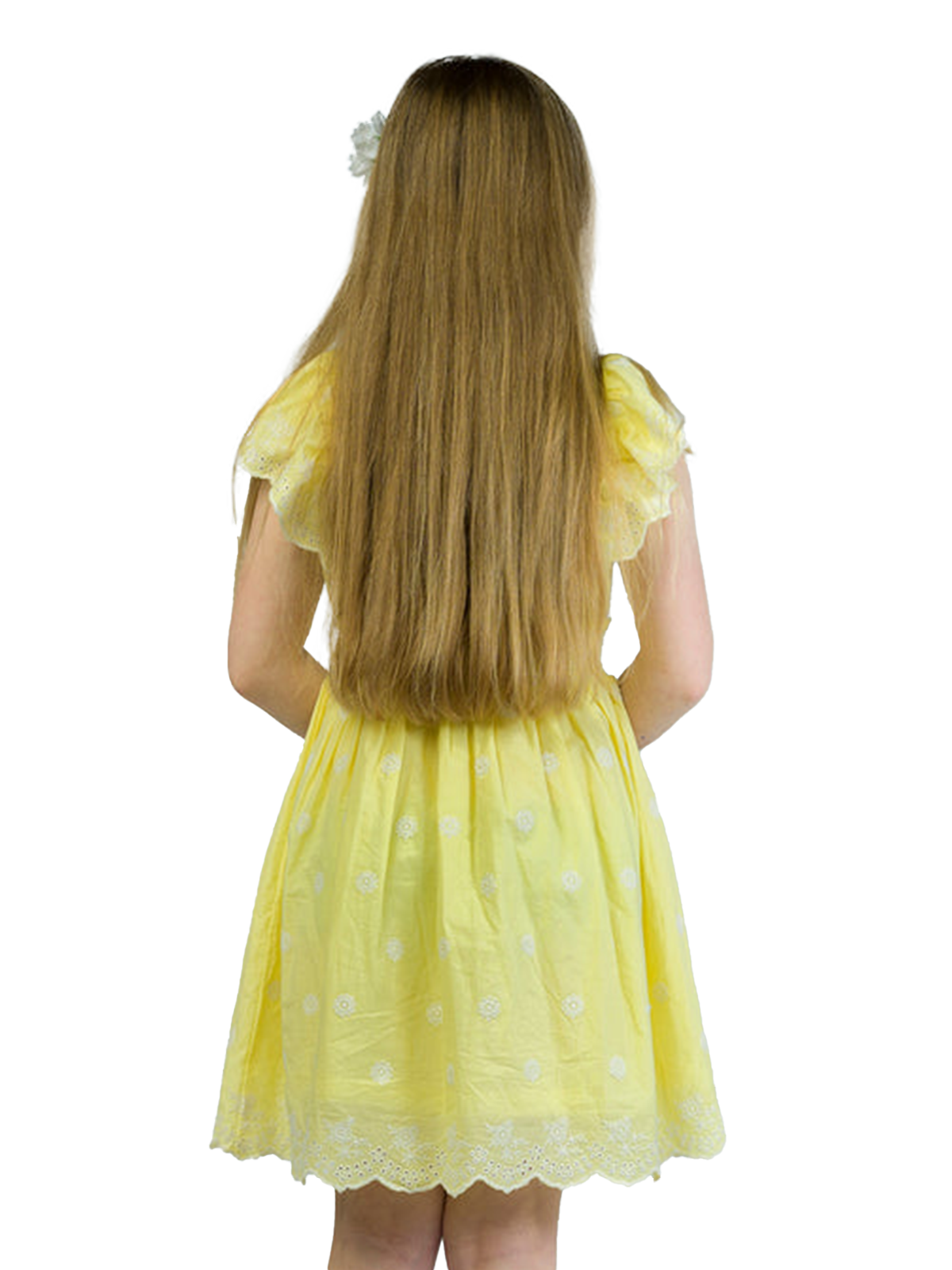 Golden Frill Embroidered Dress