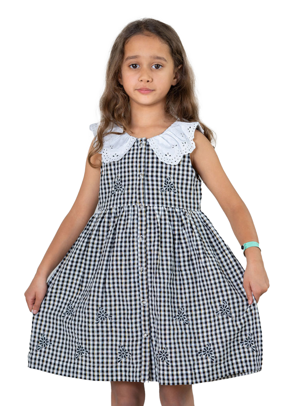 Willow Collar Embroidered Gingham Dress